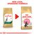 ROYAL CANIN® Maine Coon Kitten 10kg